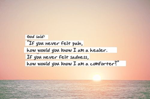 I Am Not Sheep In Wolves Clothing, I am a Wolf in Wolves&nbsp;Clothing