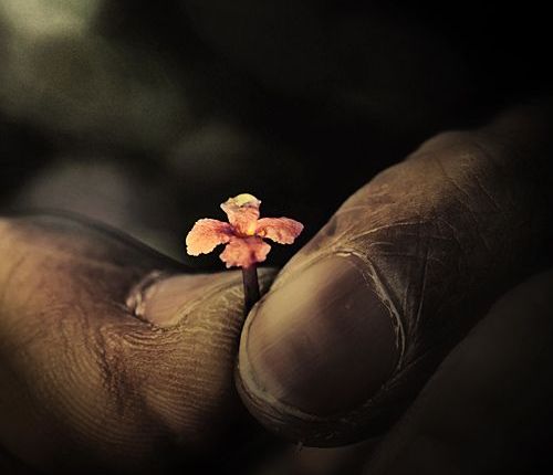 Let me love you, Let me save&nbsp;you