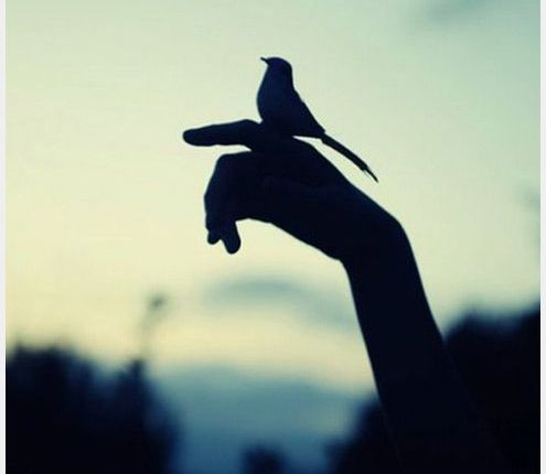 Finding My Cornerstone